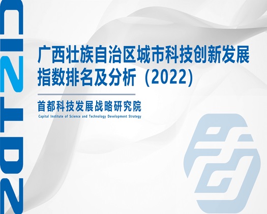 艹艹操逼【成果发布】广西壮族自治区城市科技创新发展指数排名及分析（2022）